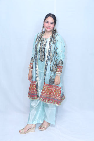 Pure Organza Gown Multi Embroidery