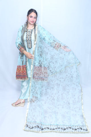 Pure Organza Gown Multi Embroidery