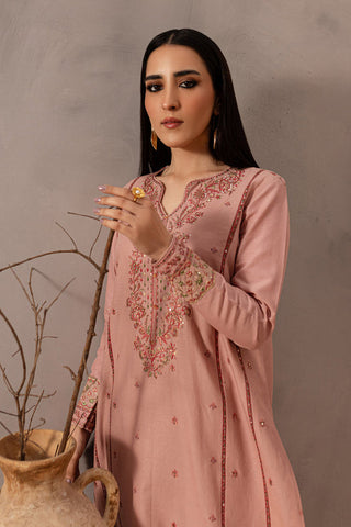 Flamingo 2Pc - Embroidered Khaddar Dress