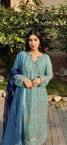Pure chiffon embroided with heavy border work