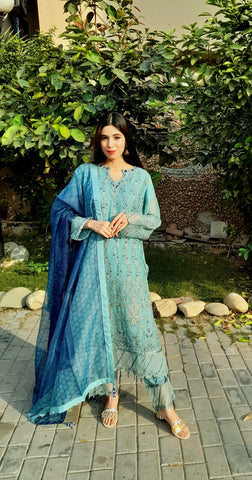 Pure chiffon embroided with heavy border work