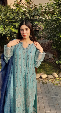 Pure chiffon embroided with heavy border work