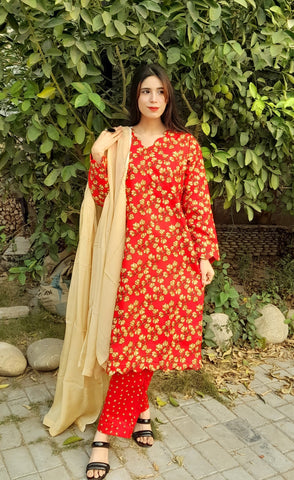 Printed Shirt with Scalap Border and Neckline
