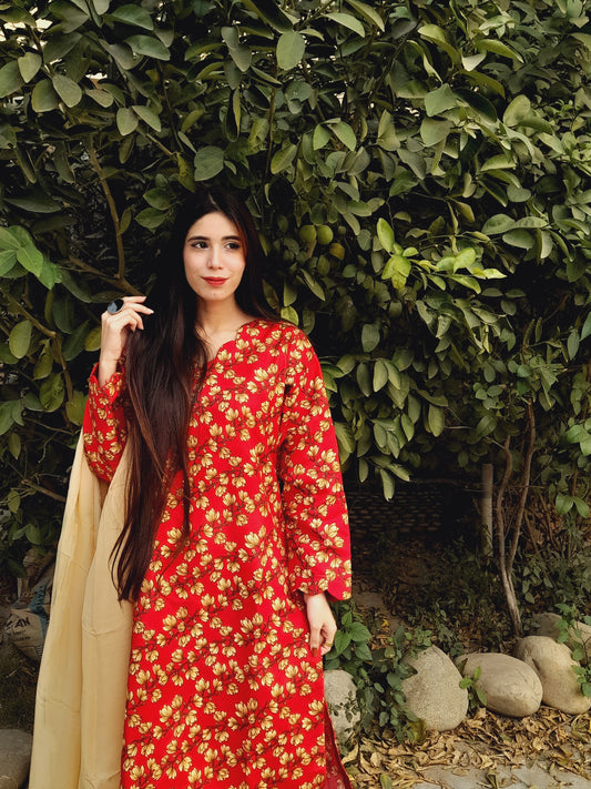 Printed khaddar Shirt with Scalap Border and Neckline