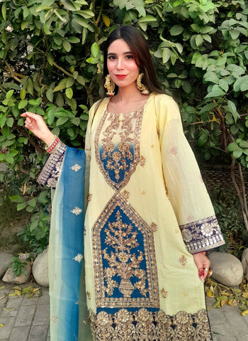 Heavy Embroidery work on shirt, sleeves and border with hand work pearls and beads