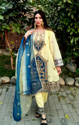 Heavy Embroidery work on shirt, sleeves and border with hand work pearls and beads