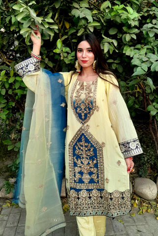 Heavy Embroidery work on shirt, sleeves and border with hand work pearls and beads