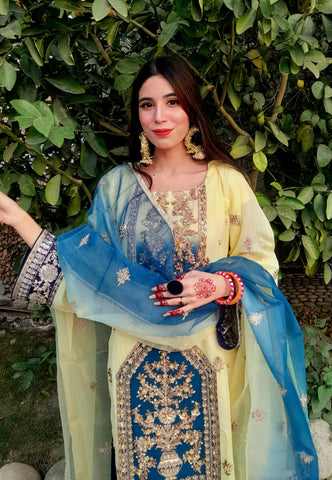 Heavy Embroidery work on shirt, sleeves and border with hand work pearls and beads