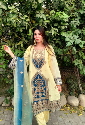 Heavy Embroidery work on shirt, sleeves and border with hand work pearls and beads