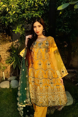 Heavy Embroidery work on shirt, sleeves and border with hand work pearls and beads