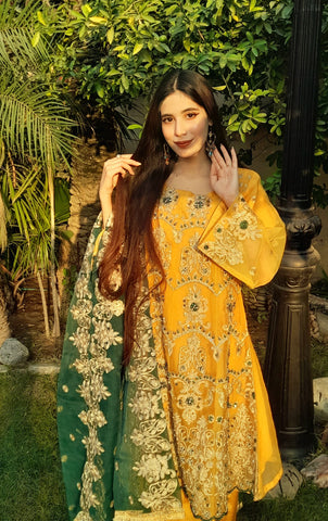 Heavy Embroidery work on shirt, sleeves and border with hand work pearls and beads