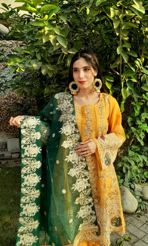 Heavy Embroidery work on shirt, sleeves and border with hand work pearls and beads