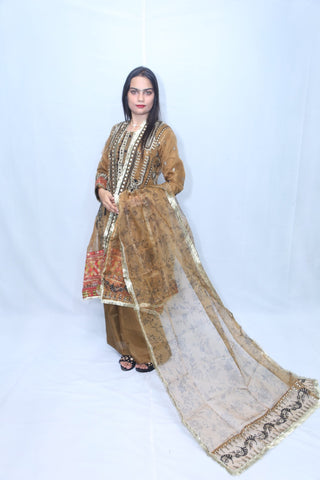 Pure Organza Gown Multi Embroidery