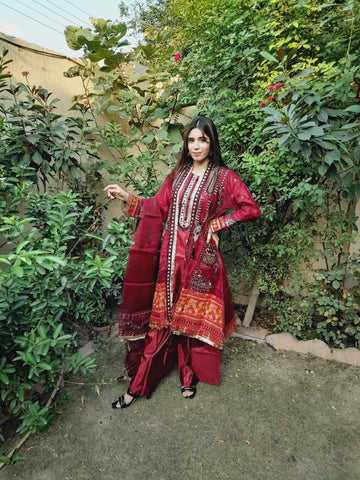 Pure Organza Gown Multi Embroidery