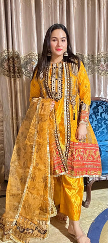 Pure Organza Gown Multi Embroidery