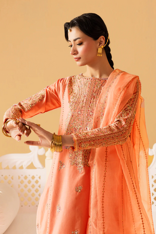 Pink Glam 3pc - Embroidered pure Khaddar Pret